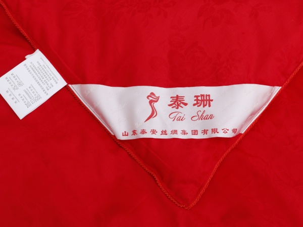04292237_00_副本.jpg